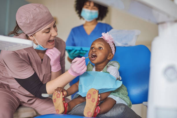 Trusted St Marys, OH  Holistic Dental Services Experts